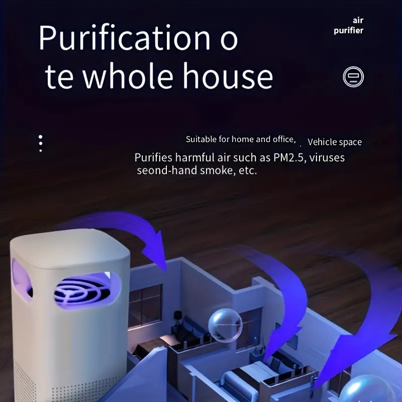 Purification of whole house